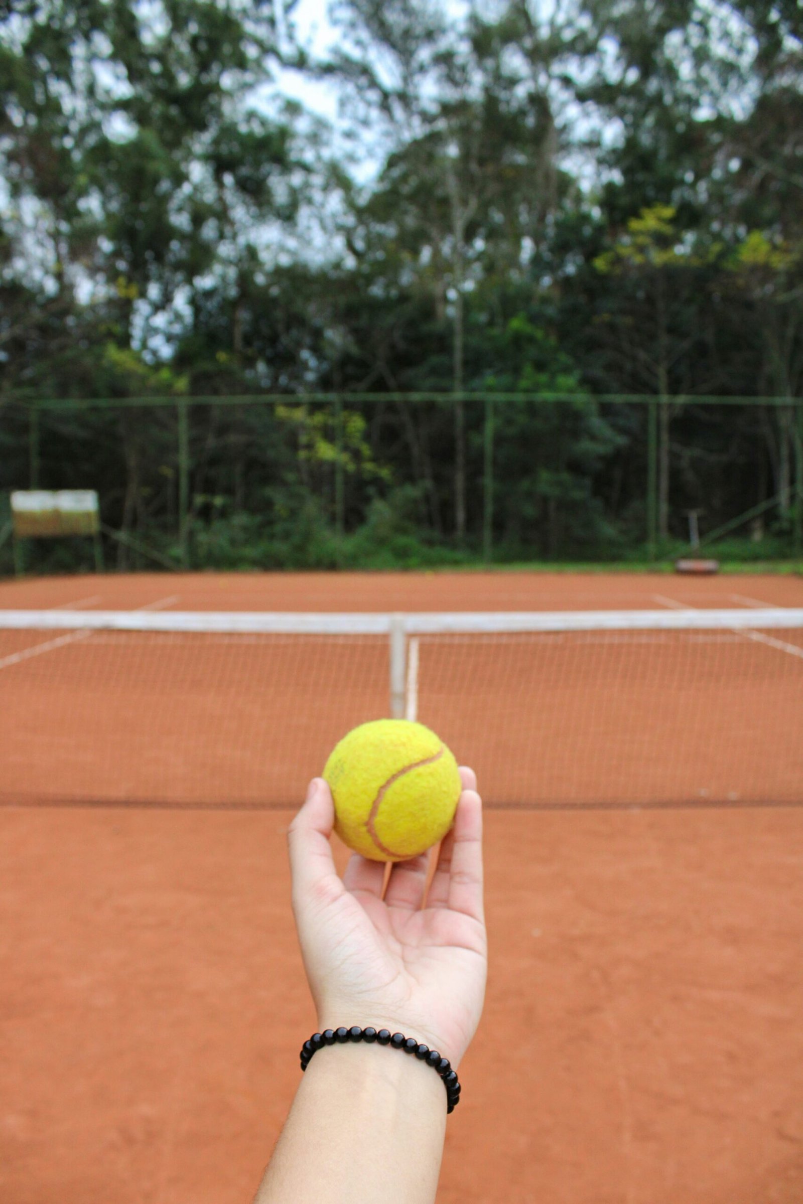 person holding yellow tennis ball